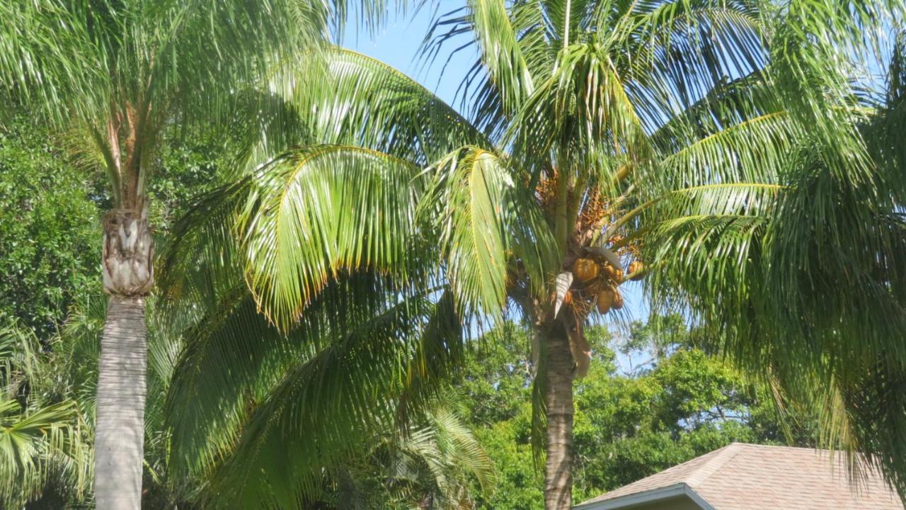 Luxury 3-Bedroom Home Near Beaches With Pool ベロ・ビーチ エクステリア 写真